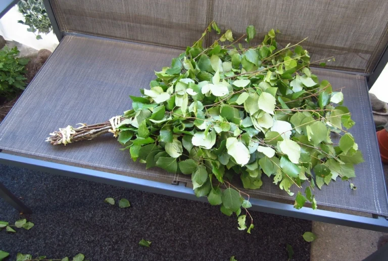 freshly made sauna whisk on gray bench
