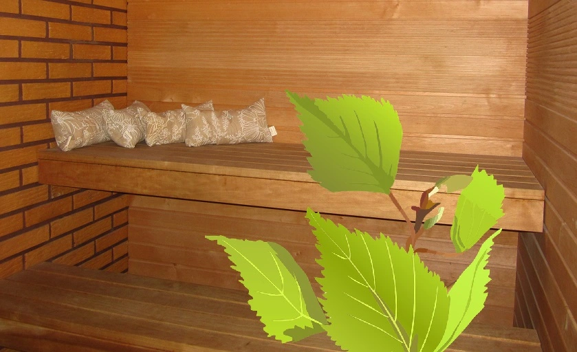 sauna benches with pillows and birch
